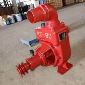 WhatsApp Image 2024-10-12 at 12.58.12_72929275